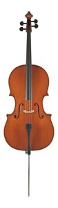 Suzuki Cello