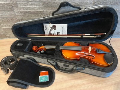 Outfit Violin NS20-OF 4/4 - 1/16