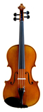 Viola Eternal 142S 15.5inch, 142W 16.0inch